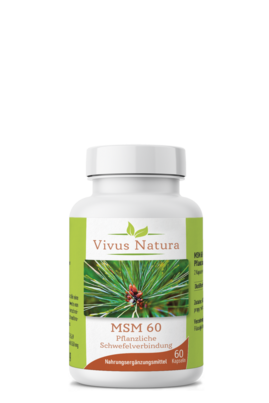 Sie sehen eine Packung MSM pflanzlicher Schwefel Kapseln, Produktbild: 01 MSM pflanzlicher Schwefel Kapseln, A-Nr.: 5758859 - 01