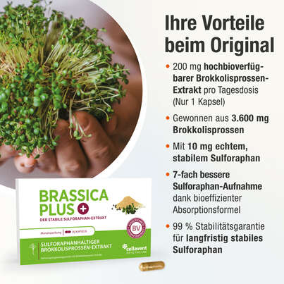Höchstkonzentrierter Brokkolisprossen-Extrakt Kapseln – 1 Brokkoli-Kopf pro Tagesdosis, A-Nr.: 5895680 - 03