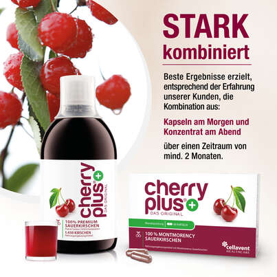 Sie sehen eine Packung Montmorency Sauerkirsch Konzentrat – hochkonzentriert – 1.450 Montmorency-Sauerkirschen pro Flasche, Produktbild: 03 Montmorency Sauerkirsch Konzentrat – hochkonzentriert – 1.450 Montmorency-Sauerkirschen pro Flasche, A-Nr.: 4753943 - 03