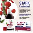 Sie sehen eine Packung Montmorency-Sauerkirsch Kapseln – mit Ashwaganda, Magnesium, Zink und Vitamin B6, Produktbild: 04 Montmorency-Sauerkirsch Kapseln – mit Ashwaganda, Magnesium, Zink und Vitamin B6, A-Nr.: 4753995 - 04