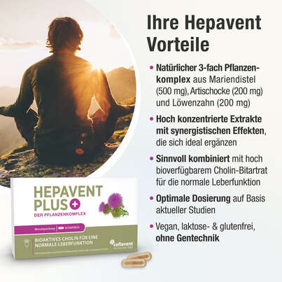 Sie sehen eine Packung Cholin Kapseln – Mariendistel Artischocke Löwenzahn – hoch bioverfügbar – mit Cholin zur Erhaltung der Leberfunktion, Produktbild: 03 Cholin Kapseln – Mariendistel Artischocke Löwenzahn – hoch bioverfügbar – mit Cholin zur Erhaltung der Leberfunktion, A-Nr.: 5895711 - 03