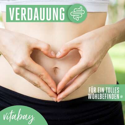 Vitabay Mariendistel Extrakt 500 mg Kapseln, A-Nr.: 5878730 - 03