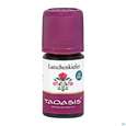 Aetherische Oele Taoasis Bio Latschenkiefer 5ml, A-Nr.: 4372603 - 03