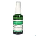 Pater Severin Dmso-spray 50%, A-Nr.: 5428613 - 01