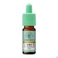 Sie sehen eine Packung Hanfama Cbd Öl Mundtropfen 10ml, Produktbild: 01 Hanfama Cbd Öl Mundtropfen 10ml, A-Nr.: 5596492 - 01