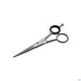 Sie sehen eine Packung Scheren Canal Rostfrei/mikroverzahnung Haarschere 13cm 1065- 1st, Produktbild: 01 Scheren Canal Rostfrei/mikroverzahnung Haarschere 13cm 1065- 1st, A-Nr.: 4881635 - 01