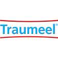 Sie sehen eine Packung Traumeel®-Gel, Produktbild: 05 Traumeel®-Gel, A-Nr.: 3929707 - 05