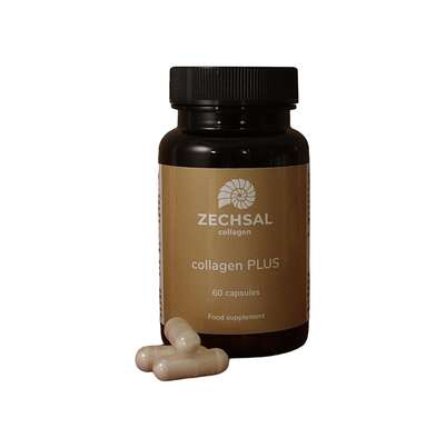Sie sehen eine Packung ZECHSAL Kollagen PLUS, Produktbild: 01 ZECHSAL Kollagen PLUS, A-Nr.: 3389458 - 01