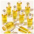 Sie sehen eine Packung Nuxe Super Serum 10 Universell Eye Concentrate Anti-aging 15ml, Produktbild: 12 Nuxe Super Serum 10 Universell Eye Concentrate Anti-aging 15ml, A-Nr.: 5821115 - 12