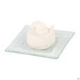 Primavera Duftstein Rosenbluete Auf Glasteller Transparent 1st, A-Nr.: 3840120 - 03