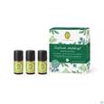 Primavera Set Duftende Waldkraft 1st, A-Nr.: 5373361 - 04