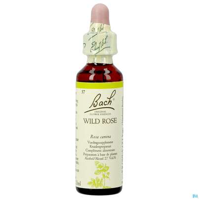 37 Wild Rose20 ml, A-Nr.: 4089103 - 02