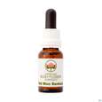 Sie sehen eine Packung Aub Old Man Banksia, Produktbild: 03 Aub Old Man Banksia, A-Nr.: 2627200 - 03
