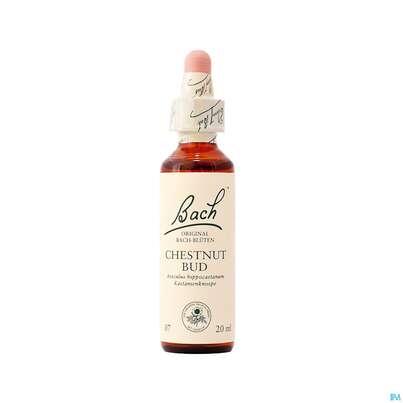 07 Chestnut Bud20 ml, A-Nr.: 4088517 - 01