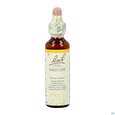 36 Wild Oat20 ml, A-Nr.: 4089095 - 01