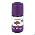 Sie sehen eine Packung Aetherische Oele Taoasis Bio Koriander 5ml, Produktbild: 03 Aetherische Oele Taoasis Bio Koriander 5ml, A-Nr.: 4372589 - 03
