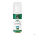Sie sehen eine Packung Allgäuer Latschenkiefer Arnika Einreibung 100ml, Produktbild: 05 Allgäuer Latschenkiefer Arnika Einreibung 100ml, A-Nr.: 1436478 - 05