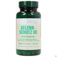 Bios Gelenk-schutz Hc 100 Kapseln, A-Nr.: 3891241 - 02