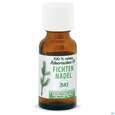 Sie sehen eine Packung Fichtennadel Oel Bio 20ml, Produktbild: 01 Fichtennadel Oel Bio 20ml, A-Nr.: 5175164 - 01