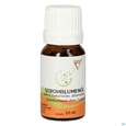 Sie sehen eine Packung Gall Pharma Strohblumenöl Embamed, Produktbild: 02 Gall Pharma Strohblumenöl Embamed, A-Nr.: 5445066 - 02