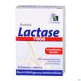 Lactase Tabl 7.000 Fcc 80st, A-Nr.: 5296241 - 02