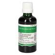 Pater Severin Ginkgo Tropfen, A-Nr.: 5303596 - 04