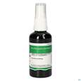 Pater Severin Graviolablätter Spray, A-Nr.: 5340545 - 01