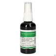 Pater Severin Hypericum Spray, A-Nr.: 5303662 - 01