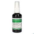 Pater Severin Hypericum Spray, A-Nr.: 5303662 - 04