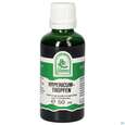 Pater Severin Hypericum Tropfen, A-Nr.: 5303633 - 03