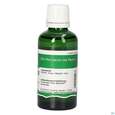Pater Severin Salicylspiritus 2%, A-Nr.: 5341421 - 01