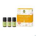 Primavera Set Duftendes Zitrusglueck 1st, A-Nr.: 5199383 - 04