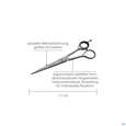 Scheren Canal Rostfrei Haarschere 17cm 1021- 1st, A-Nr.: 4881575 - 02