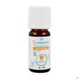 Sie sehen eine Packung Aetherische Oele Puressentiel/bio Wintergruen 10ml, Produktbild: 04 Aetherische Oele Puressentiel/bio Wintergruen 10ml, A-Nr.: 4934136 - 04