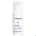 Sie sehen eine Packung Caudalie Vinoperfect Mikro-peeling Schaum 100ml, Produktbild: 02 Caudalie Vinoperfect Mikro-peeling Schaum 100ml, A-Nr.: 5859023 - 02