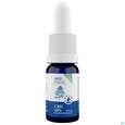 Cbd Oel 10% Mint -helfe 10ml, A-Nr.: 5643091 - 02