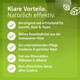 Rosenwasser Spray – Rosenhydrolat, A-Nr.: 5731702 - 04