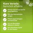 Rosmarinöl Haare &amp; Kopfhaut, A-Nr.: 5724872 - 04