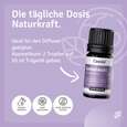 Sie sehen eine Packung Duftmischung „Seelenwohl“ – ätherisches Öl, Produktbild: 02 Duftmischung „Seelenwohl“ – ätherisches Öl, A-Nr.: 5758173 - 02