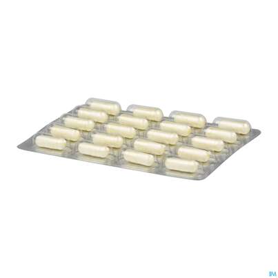 Sie sehen eine Packung Darmflora Plus Dr.wolz Uro Kapseln Nr 60520 40st, Produktbild: 08 Darmflora Plus Dr.wolz Uro Kapseln Nr 60520 40st, A-Nr.: 5186707 - 08
