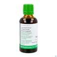 Tausendgueldenkraut Tinktur Phytopharma 50ml, A-Nr.: 4583820 - 02