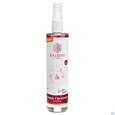 Sie sehen eine Packung Taoasis Baldini Raumspray Happy Christmas 50ml, Produktbild: 01 Taoasis Baldini Raumspray Happy Christmas 50ml, A-Nr.: 5374455 - 01