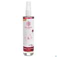 Sie sehen eine Packung Taoasis Baldini Raumspray Happy Christmas 50ml, Produktbild: 04 Taoasis Baldini Raumspray Happy Christmas 50ml, A-Nr.: 5374455 - 04