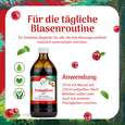 PREISELBEER SAFT CAESARO 500 ML, A-Nr.: 4621851 - 03