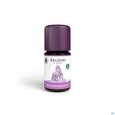 Taoasis Baldini Bio Buddhaduft 5ml, A-Nr.: 5384028 - 04