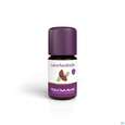 Aetherische Oele Taoasis Bio Latschenkiefer 5ml, A-Nr.: 4372603 - 04