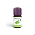 Taoasis Baldini Bio Patchouli 5ml, A-Nr.: 5378565 - 01
