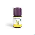 Taoasis Baldini Bio Zitrusgarten 5ml, A-Nr.: 5857194 - 05