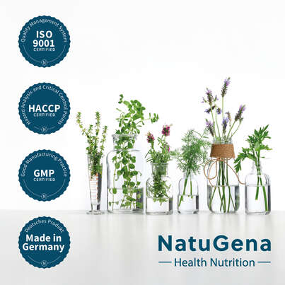 Sie sehen eine Packung NatuGena Protein Vegan Pulver, Produktbild: 05 NatuGena Protein Vegan Pulver, A-Nr.: 6011861 - 05