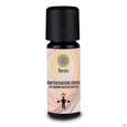 Noreia Entscheide Dich. 10ml, A-Nr.: 4174777 - 02